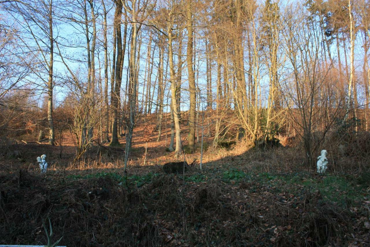 Haus Sonnenwinkel Appartamento Bad Iburg Esterno foto